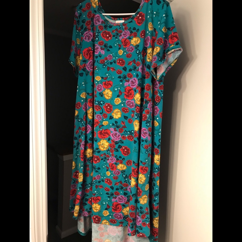 3XL Lularoe Carly Dress